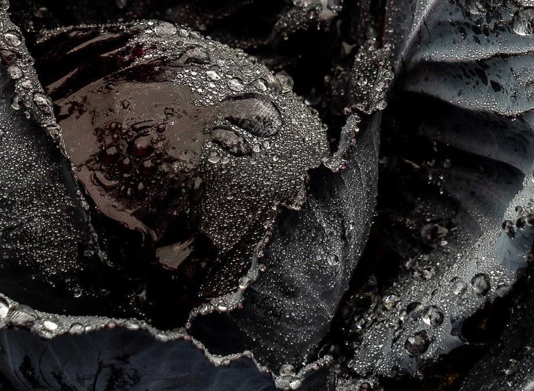 Munford, Patricia  title: Black Cabbage