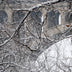 Munford, Patricia Title: Ice Forest