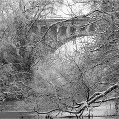 Munford, Patricia Title: Ice Forest