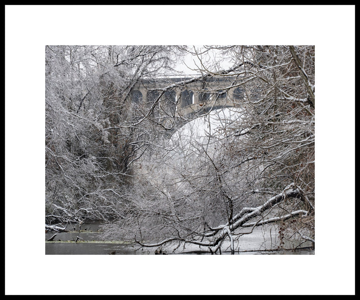 Munford, Patricia Title: Ice Forest