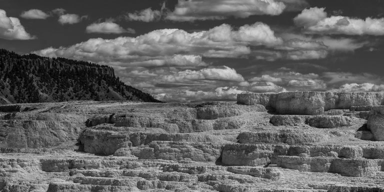 Munford, Patricia Title: Stone Cascades