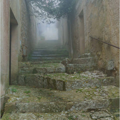 Munford, Patricia Title: The Ascent