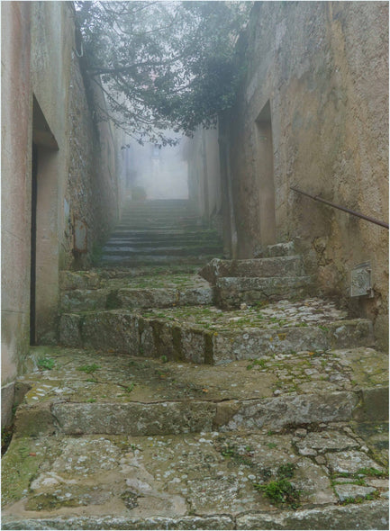 Munford, Patricia Title: The Ascent