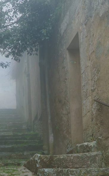 Munford, Patricia Title: The Ascent