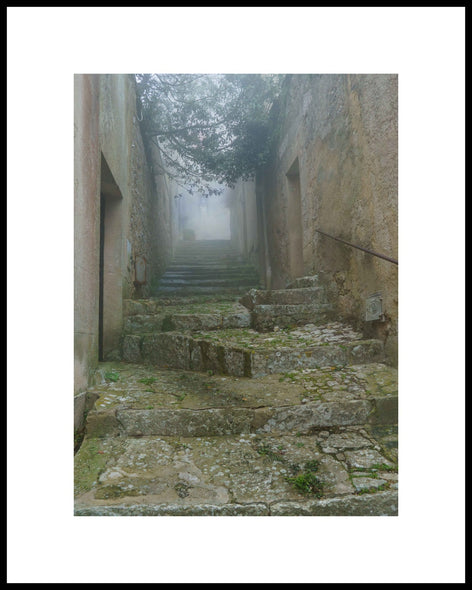 Munford, Patricia Title: The Ascent