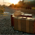 Munford, Patricia title: Tracks West