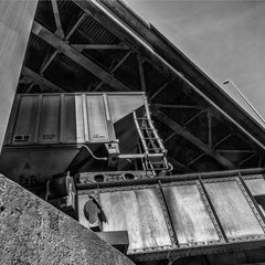 Munford, Patricia title: Triple Crossing