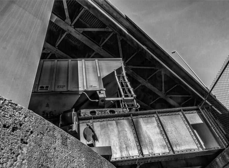 Munford, Patricia title: Triple Crossing