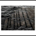 Munford, Patricia Title: Wavelength