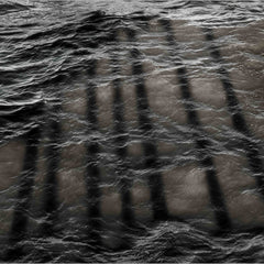 Munford, Patricia Title: Wavelength