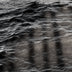 Munford, Patricia Title: Wavelength