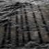 Munford, Patricia Title: Wavelength