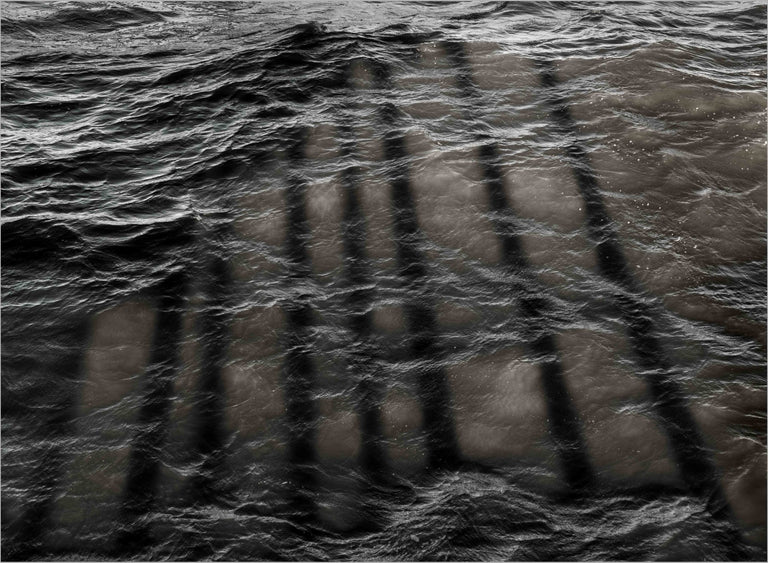 Munford, Patricia Title: Wavelength