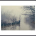 Munford, Patricia Title: Winter Fog, Kanawha Canal