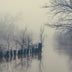 Munford, Patricia Title: Winter Fog, Kanawha Canal
