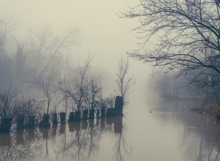 Munford, Patricia Title: Winter Fog, Kanawha Canal