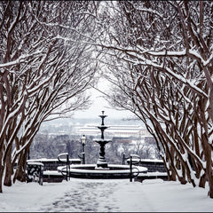 Munford, Patricia Title: Winter Fountain