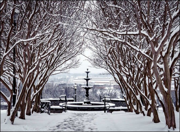 Munford, Patricia Title: Winter Fountain