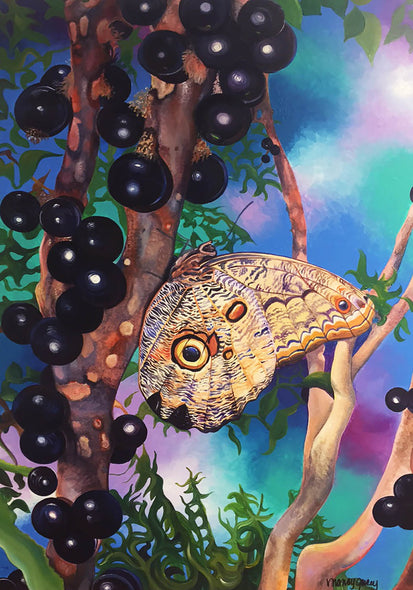 Nancy Jacey Title: Owl Butterfly