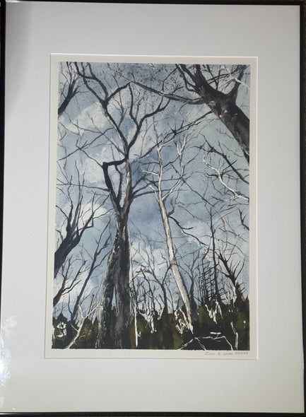 Nardi, Lisa Title: Standing Tall