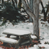 Pimsuwan, Natt Title: Lonely Snowy Table