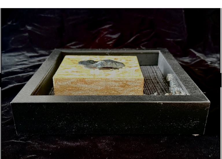 Neumann, Sandy Title: Tears of a Clown