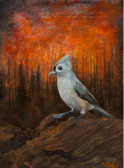 Nicolas Nadja Title: Early Migration