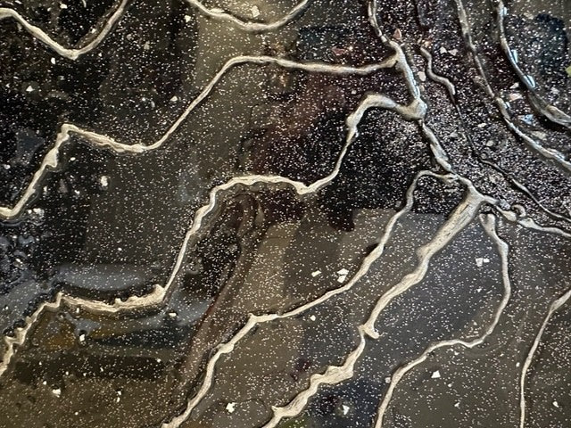 Ortgiesen, Paula Title: Black and Silver Sunshine