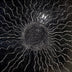 Ortgiesen, Paula Title: Black and Silver Sunshine