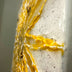 Ortgiesen, Paula  title: Starburst