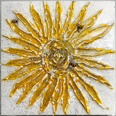 Ortgiesen, Paula  title: Starburst