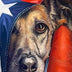 Pantele, Kathy title: Freedom's Watchdog