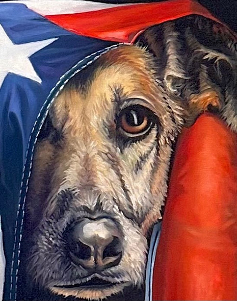 Pantele, Kathy title: Freedom's Watchdog