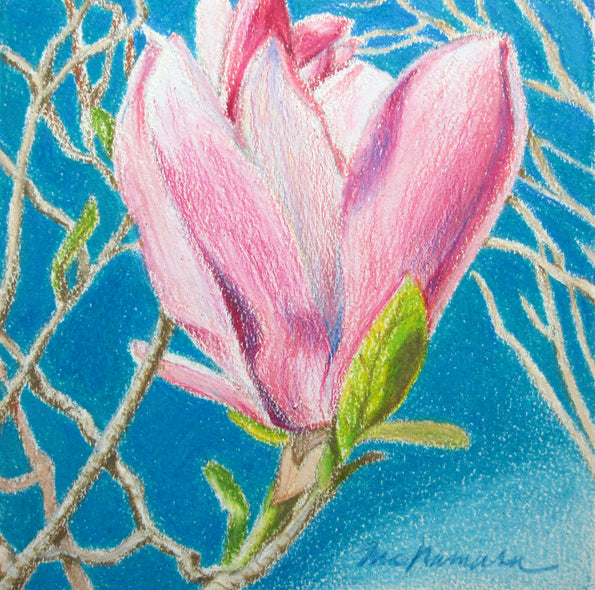 Pat McNamara Title: Magnolia