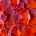 Patricia Hooten Title: Perennial Petals Warm