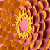 Patricia Hooten Title: Zinnia #6