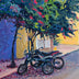 Poupore, Patricia  title: Bikes Under the Bougainvillea