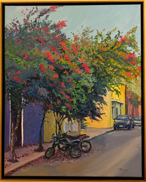 Poupore, Patricia  title: Bikes Under the Bougainvillea