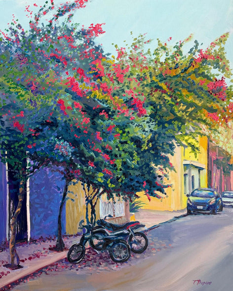 Poupore, Patricia  title: Bikes Under the Bougainvillea