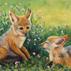 Purdy, Catherine Title: Black-backed Jackal Pups