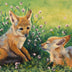 Purdy, Catherine Title: Black-backed Jackal Pups