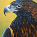 Purdy, Catherine Title: Golden Eagle