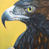 Purdy, Catherine Title: Golden Eagle