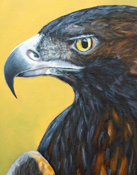 Purdy, Catherine Title: Golden Eagle