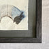 Renee Stramel Title: Fan Study V