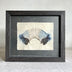 Renee Stramel Title: Fan Study V