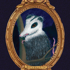 Renee Stramel Title: RVA Possum