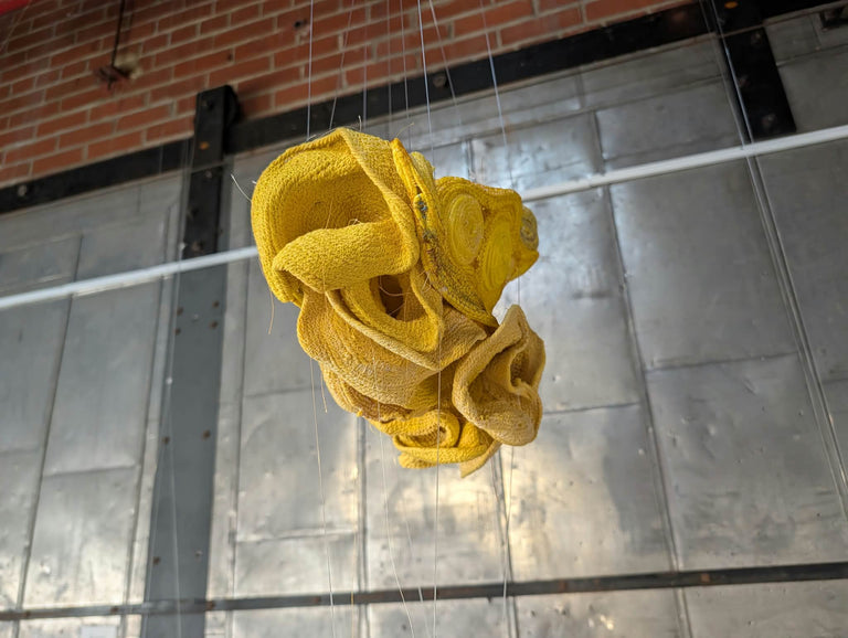 Harding, Richard  Title: Ruptured
