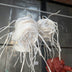 Harding, Richard  Title: Synapses