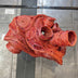 Harding, Richard  Title: The Symbiote